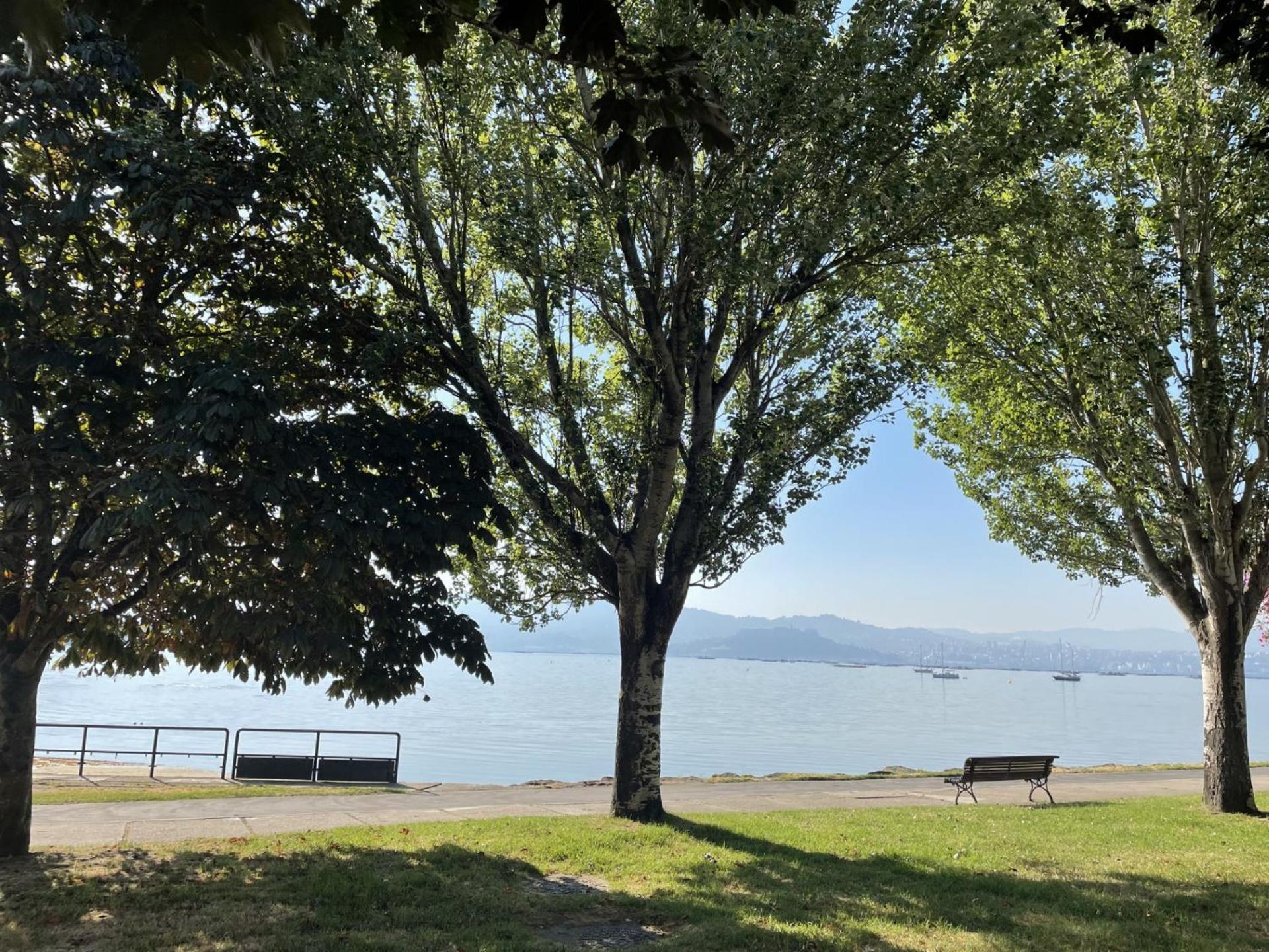 莫阿纳Mirador Puerto Nautico, Con Parking Gratis,公寓 外观 照片